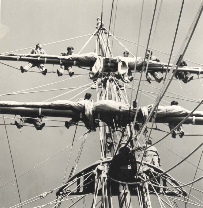 03coperta alberata.jpg